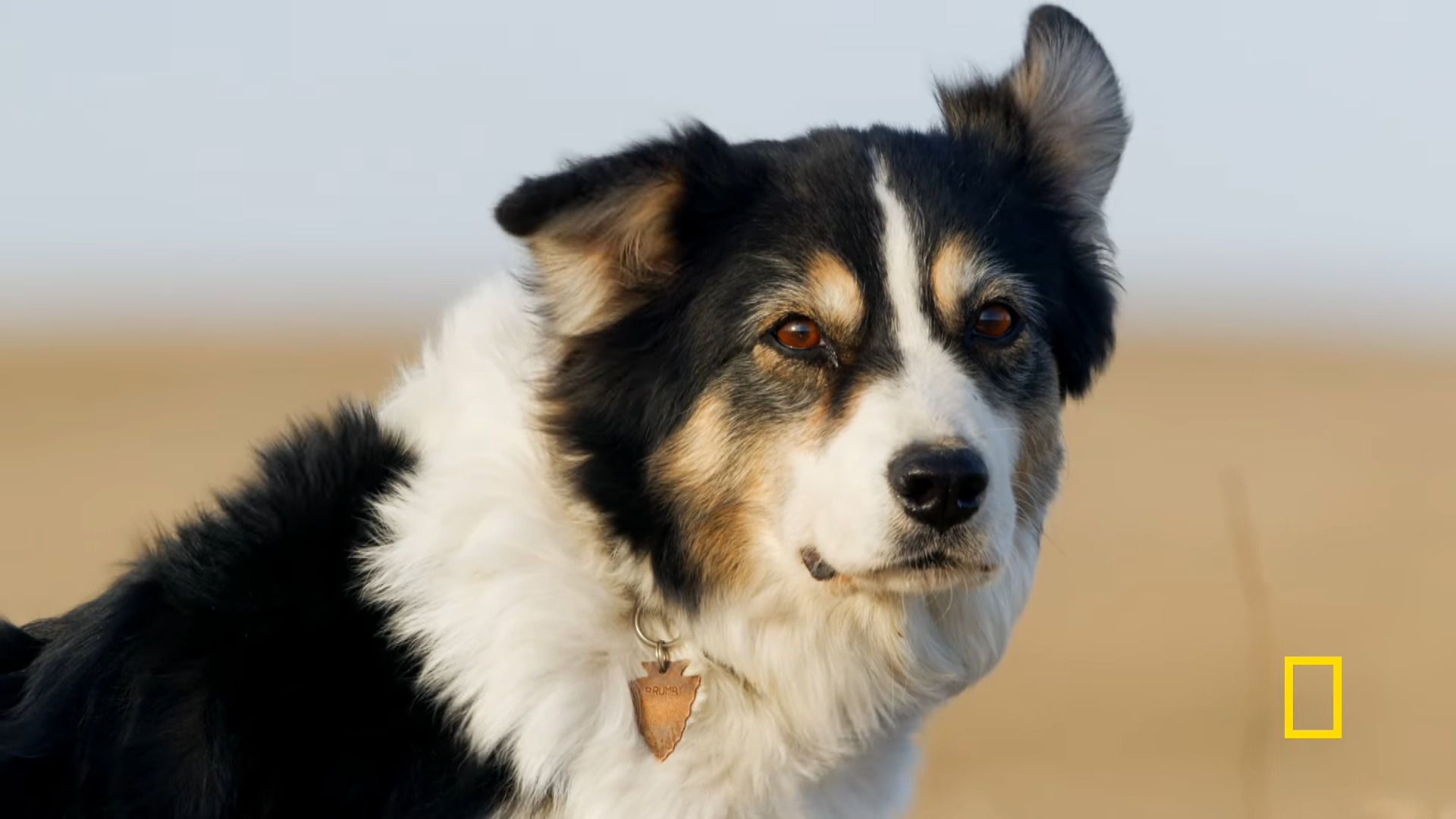 Old map and compass on dark wooden table, dim candlelight illumination, dark moody archival atmosphere